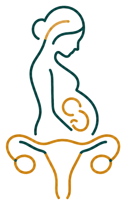 Ikona gynekologie a porodnictví